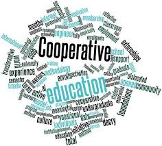Nantyr Shores Co-op Education - What is Co-op